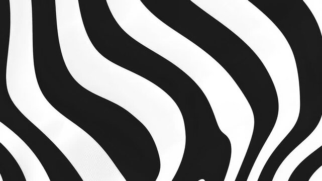 Abstract Black and white Geometric Waves Pattern Animation Video with Vector Optical Illusion, Water Ripple and Swirl Texture Background