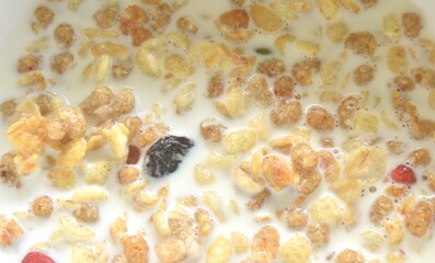 fruit granola dry cereal breakfast eat with fresh milk on bowl