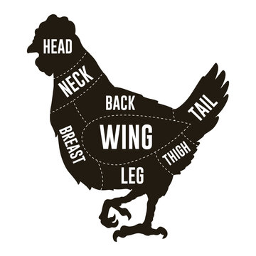Chicken Cuts Diagram sticker monochrome
