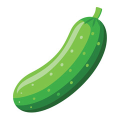 Illustration of Fresh Cucumber Isolated