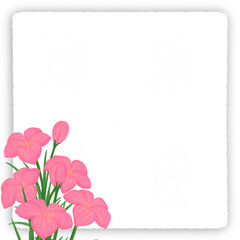 Naklejka premium pink Zephyranthes white note paper