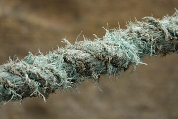 Length of old frayed green rope diagonal against blurred background © Helen
