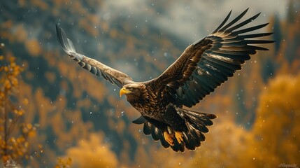 Brown Eagle Soaring Through Autumnal Sky