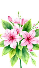 Watercolor light pink flowers and green leaves bouquet illustration isolated with white highlights, png