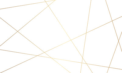 Luxury random golden line background.