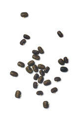 seeds from asian pigeon wing plant isolated white background, butterfly, blue or cordofan pea used in cooking, traditional medicine, religious ceremonies in southeast asia