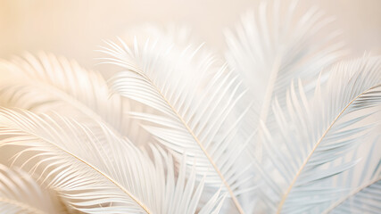 light background with blurred foliage palm leaves