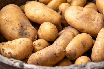 Patate novelle, cibo biologico italiano 