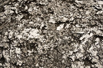Abstract broken cement. Texture and grunge  wall. background. Sepia tone.