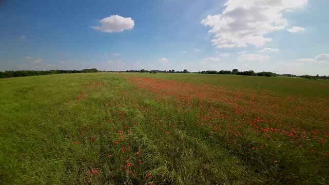 View from the first flight on the FPV drone. Video Shooting on an ultra-wide angle camera. Fast and dynamic flight on a sports quadcopter gvnf.obksz yn lipo batteries. Nature. Tuscany Italy 17.08.2024