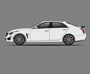 Fototapeta premium CTS