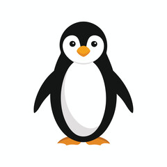 penguin on a white