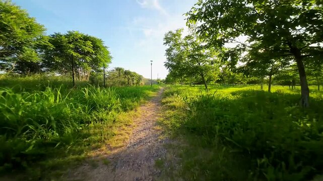 View from the first flight on the FPV drone. Video Shooting on an ultra-wide angle camera. Fast and dynamic flight on a sports quadcopter gvnf.obksz yn lipo batteries. Nature. Tuscany Italy 17.08.2024
