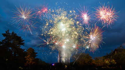 Fireworks. 
Group of people watching the fireworks.
French National Day in Soissons