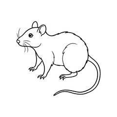 illustration of a rat