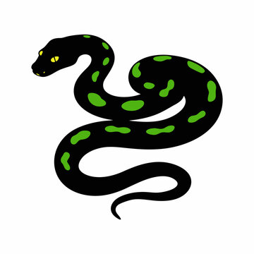 Green tree python Morelia veridic snakes silhouette illustration