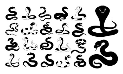 Set of different types of Snakes black and white illustration