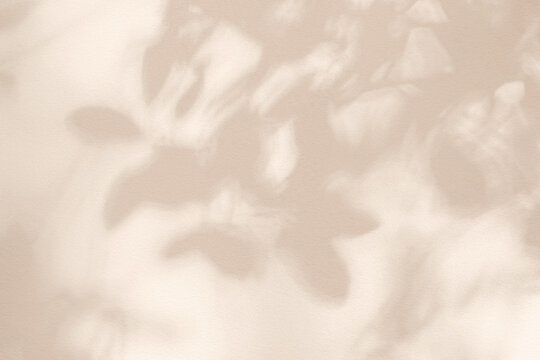 Light and shadow pink beige pastel abstract background. Natural leaves shadows and sunshine diagonal refraction on white wall texture. Shadow overlay effect foliage mockup, banner graphic layout
