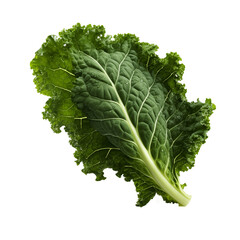 kale transparent background