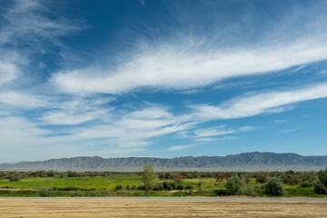 Majestic Mountains and Lush Fields in Xinjiang