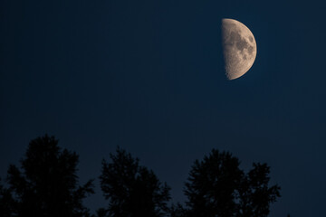 Half Moon Rising Over Xinjiang's Night Sky