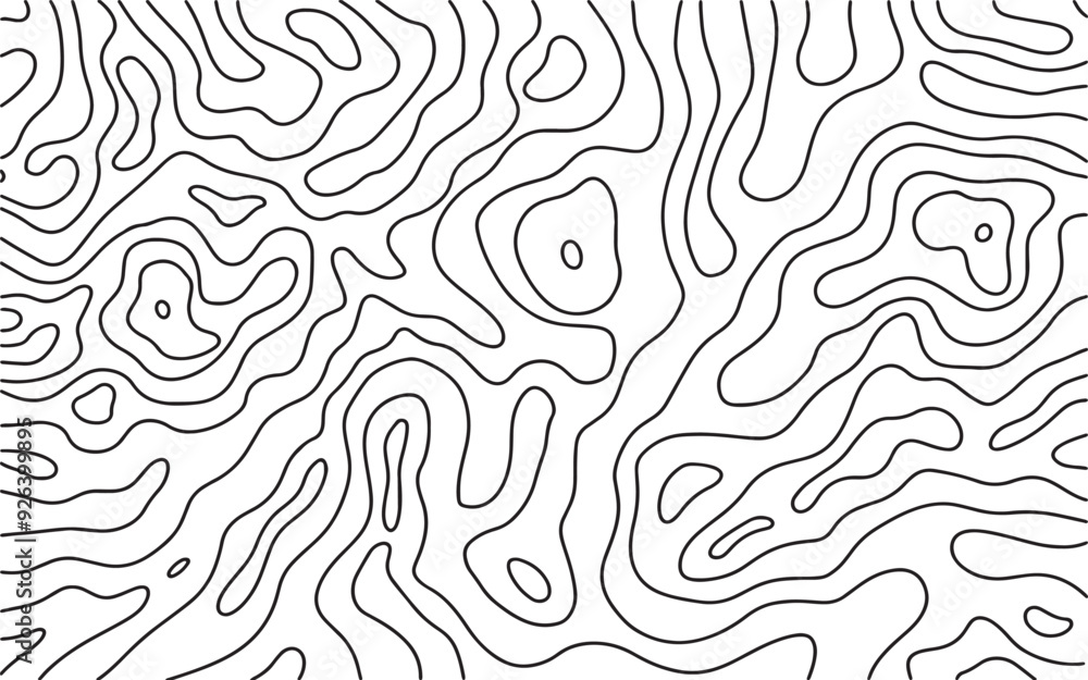 Wall mural abstract topographic map background with organic flowing lines vector
