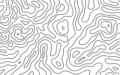 Abstract topographic map background with organic flowing lines vector 
