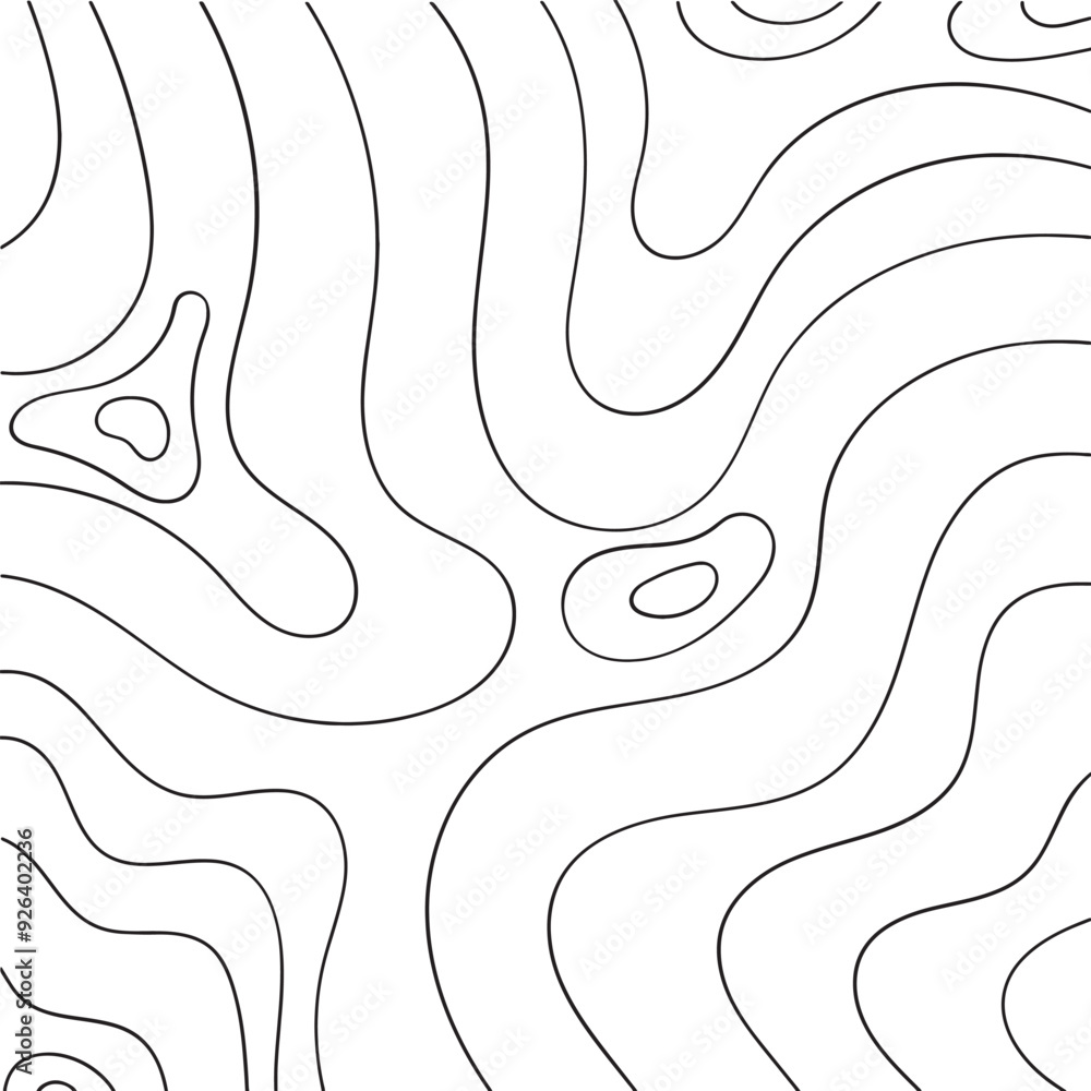 Wall mural a seamless pattern of thin black lines creates a dynamic, flowing abstract design vector on a clean 