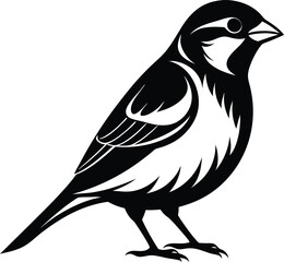 Creative sparrow vector art illustration