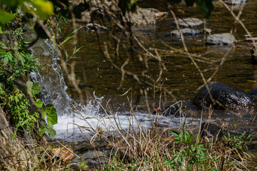 ほとばしる水飛沫
