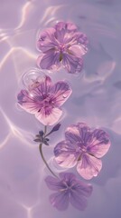  Beautiful flowers floating in a pool of water