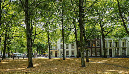 Obraz premium Houses in the park, the hague, netherlands