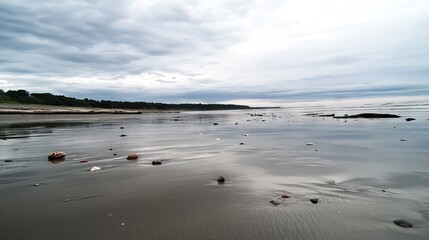 Desolate Beach at Low Tide with Reflective Wet Sand, Scattered Seashells, and Driftwood Along the Shoreline. AI generated illustration