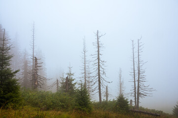 Ukrainian mountains, Carpathians, 