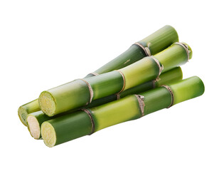 Bambus isoliert Hintergrund, Freisteller, Transparent