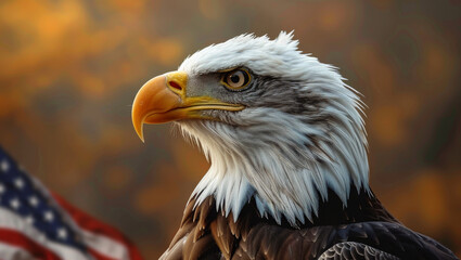 Obraz premium Eagle with USA Flag in the background 