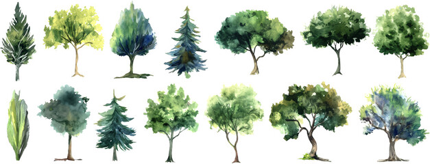 Tree set watercolor png on transparent background