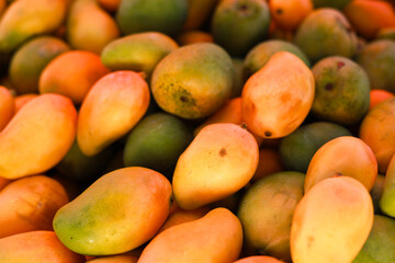 group of exotic papaya fruits 