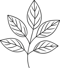 leaves line art illustration black and white