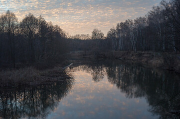 Fototapeta premium Bright sky, river and trees at sunset, natural background.