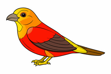 The Common Crossbill Bird Illustration