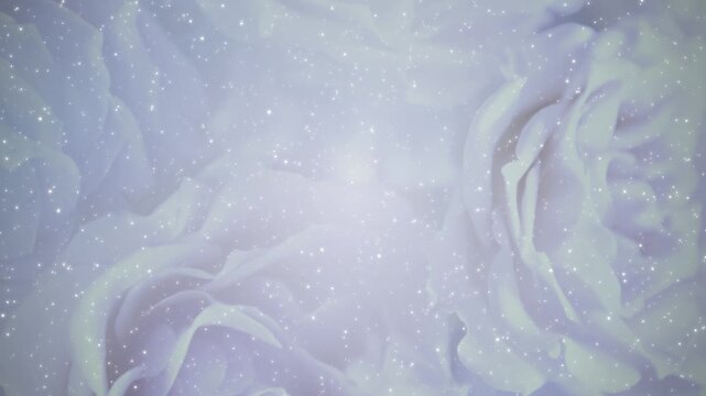 薔薇 ゴージャス パーティクルBG185_ 02