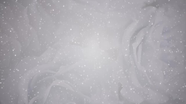 薔薇 ゴージャス パーティクルBG185_ 06