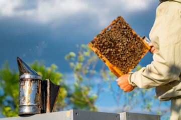 Beekeeper inspecting a honeycomb near a hive on a sunny day. A beekeeper checks a honeycomb frame while using a smoker outdoors.