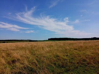 Obraz premium Beautiful clouds over a spacious meadow with yellow grass. Natural beautiful landscape.