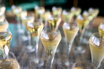 Celebration glassware filled with sparkling beverage at event venue. Multiple glasses filled with sparkling beverage are arranged for celebration.