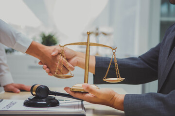 A lawyer is a professional who provides legal advice, represents clients in court, drafts legal documents, and advocates for their clients' rights in various legal matters