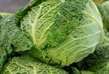 cabbage in the market