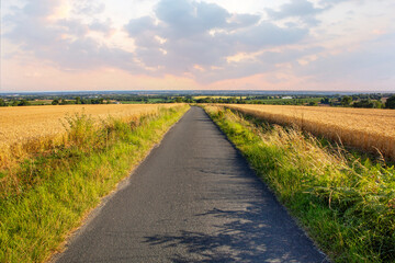 Route de campagne au milieu des champs au printemps.