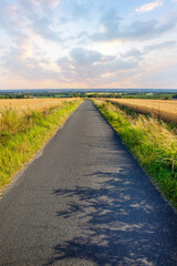 Route de campagne au milieu des champs au printemps.
